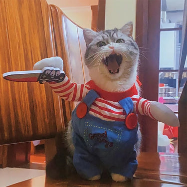 The KittyNook Cat Co. Halloween Cosplay Costumes Kitten Jumpsuit makes your cat a perfect Halloween star.